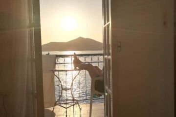 Petseleh Songs for Muriel2