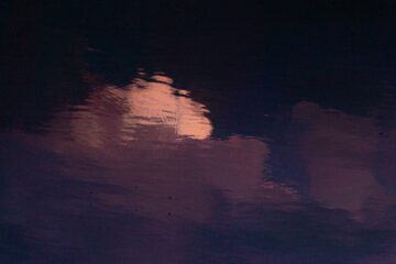 Blackbird Pure Romance