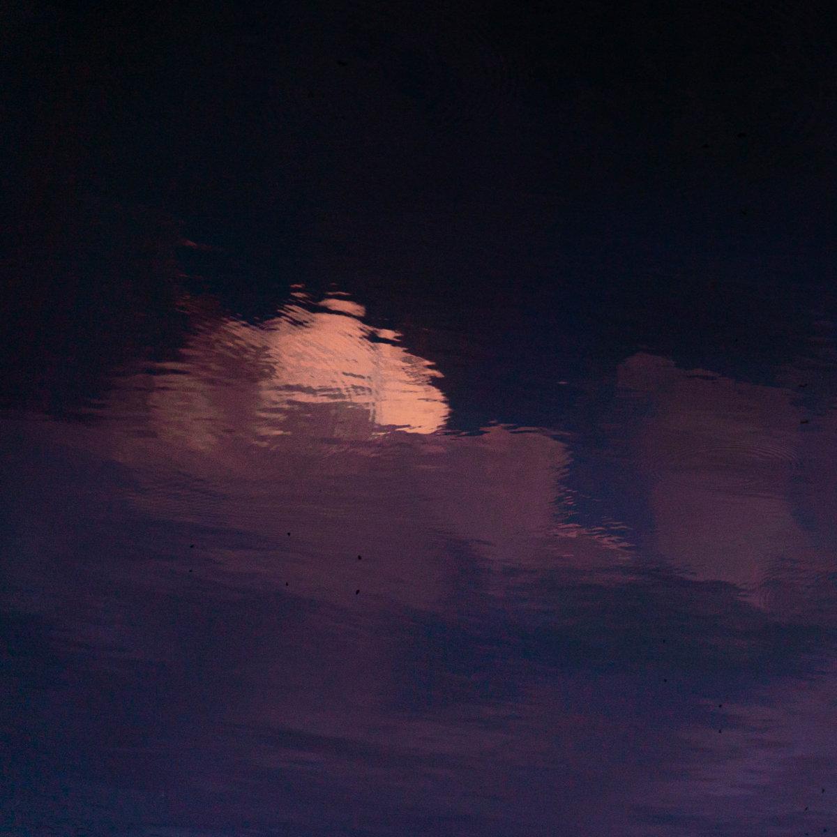 Blackbird Pure Romance