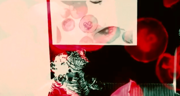 nic U 22Jouer avec le feu22