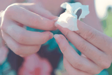 Let Us Dream Darling