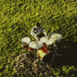 BETWEEN THE LAKES REVERIE